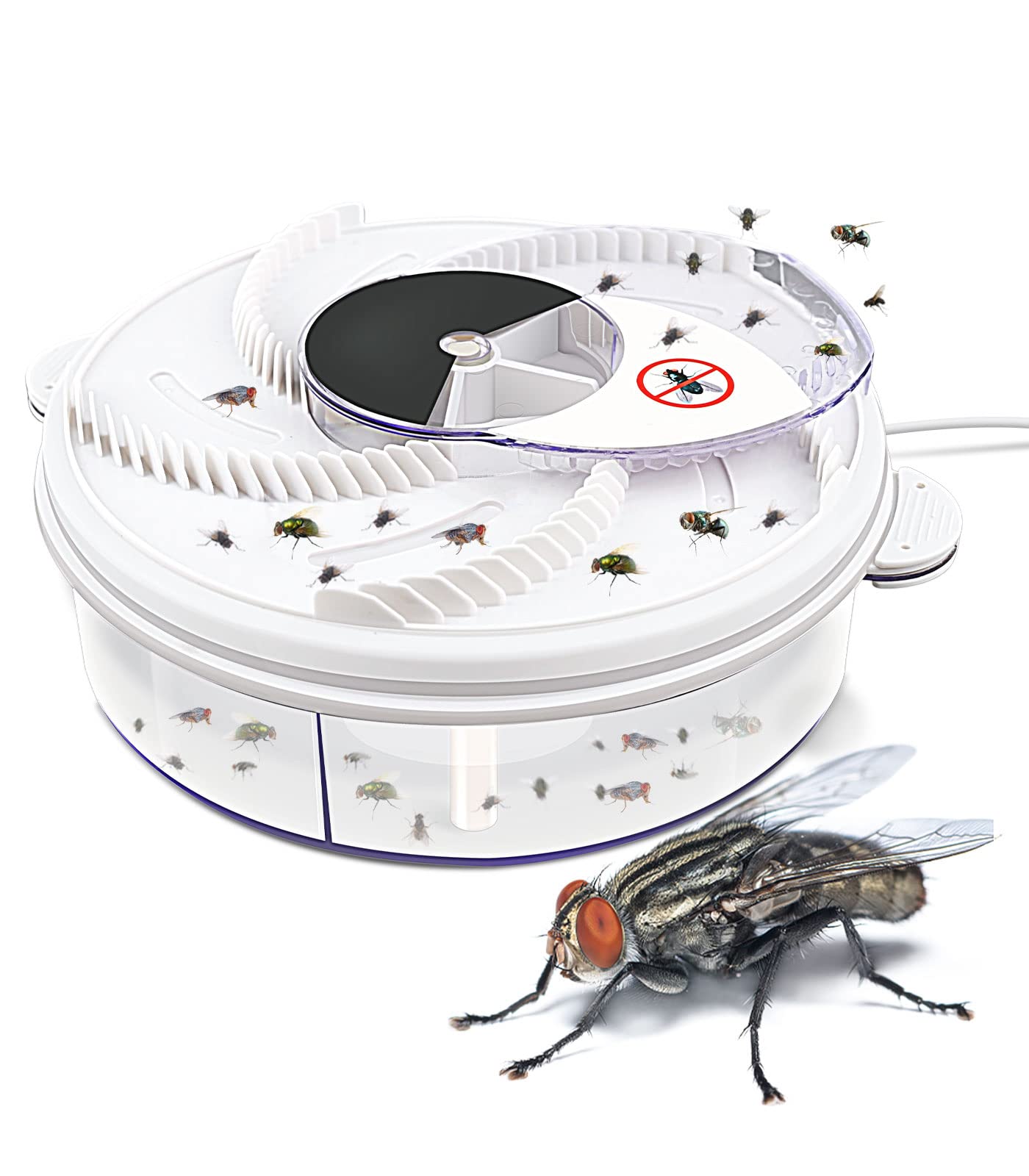 Fly Trap