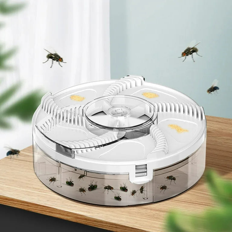 Fly Trap
