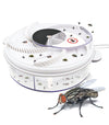 Fly Trap