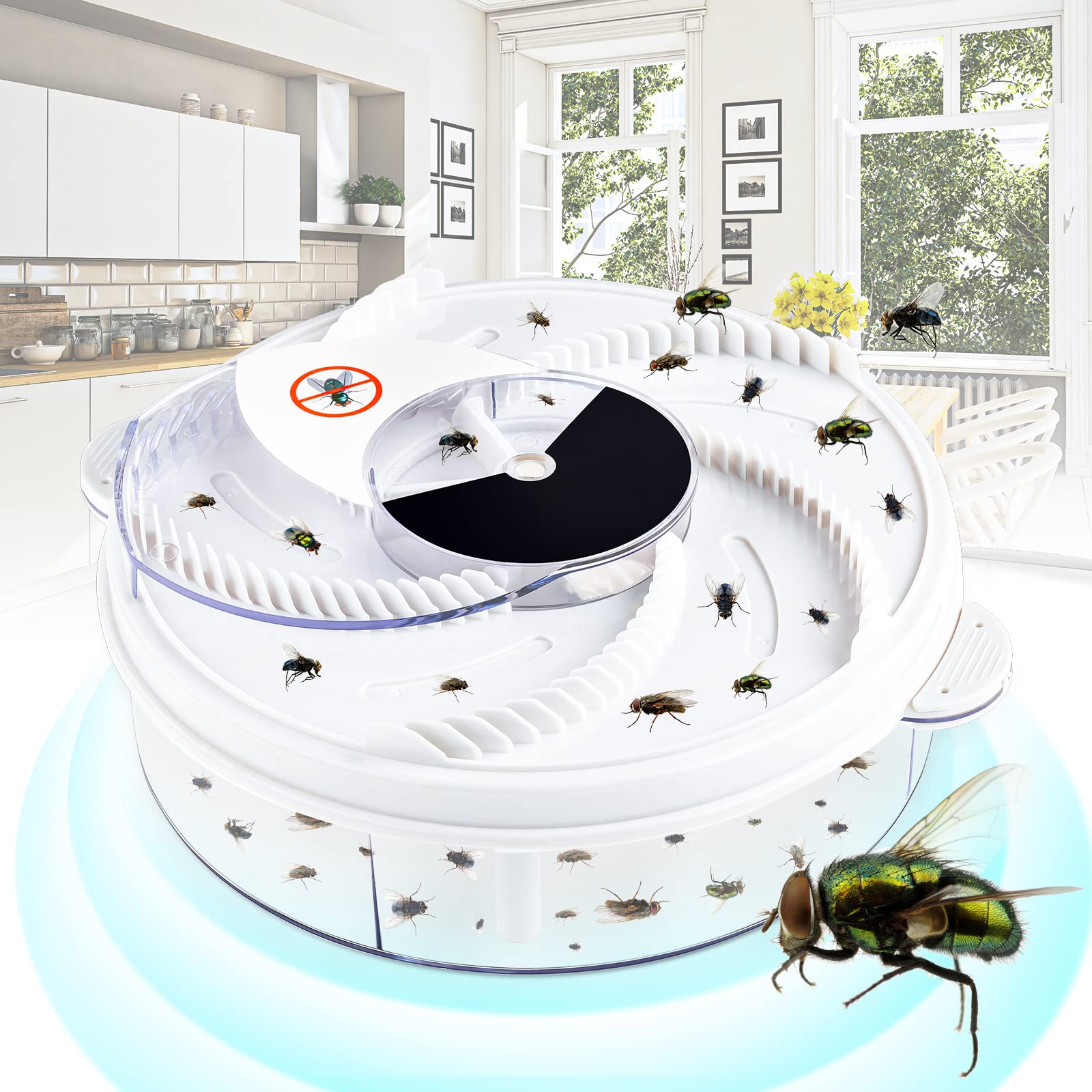 Fly Trap