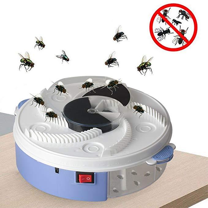 Fly Trap