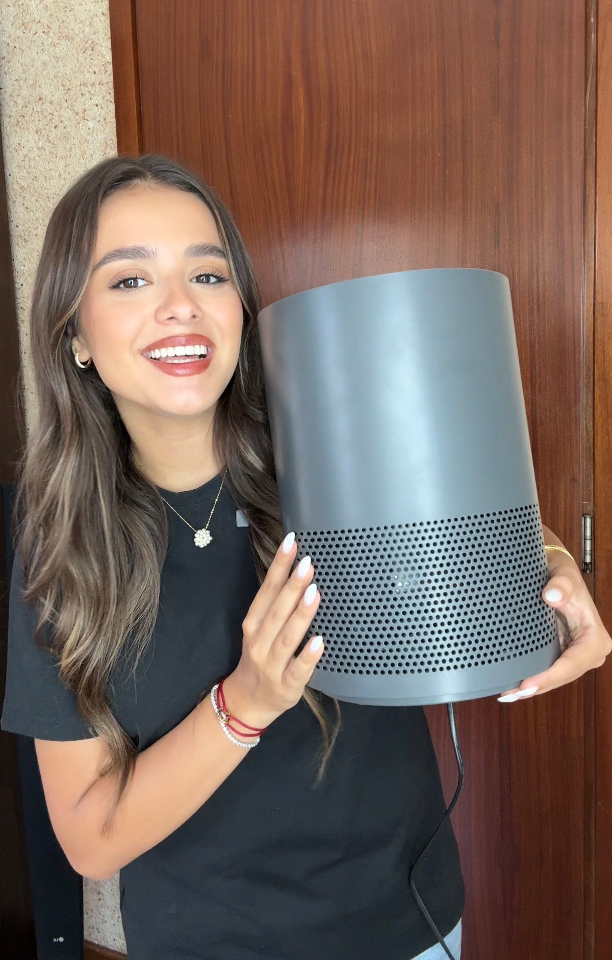 Air Purifier