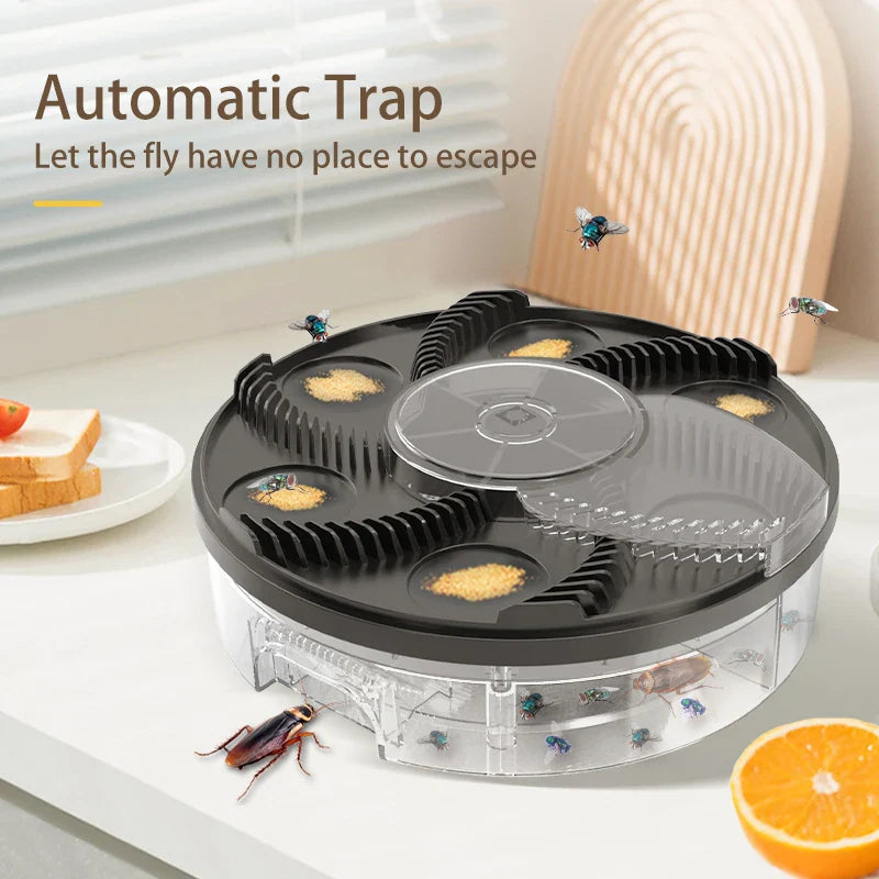 Fly Trap